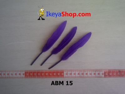 ABM 15  large2